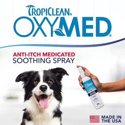 Show full view: TropiClean OXY-MED Fast Itchy Skin Relief Anti-Itch Spray, 8-fl oz bottle slide 3 of 10