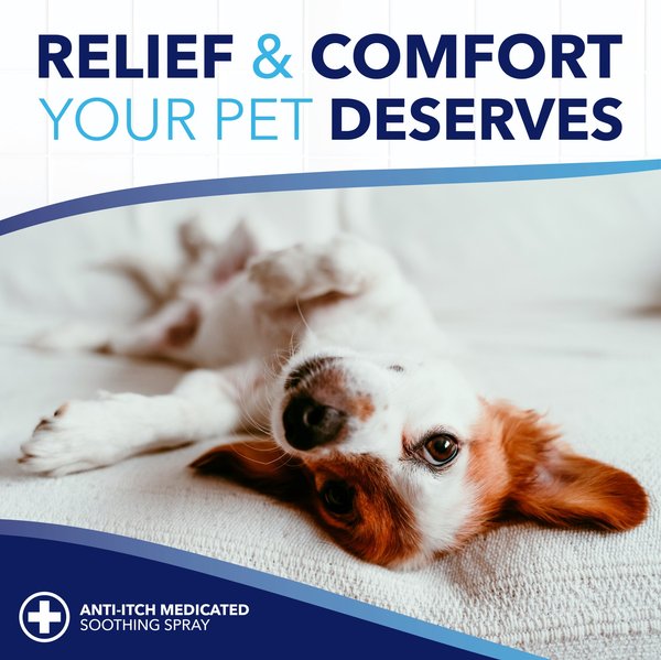Show full view: TropiClean OxyMed Gentle Allergy Relief Dog & Cat Wipes, 50 count slide 7 of 10