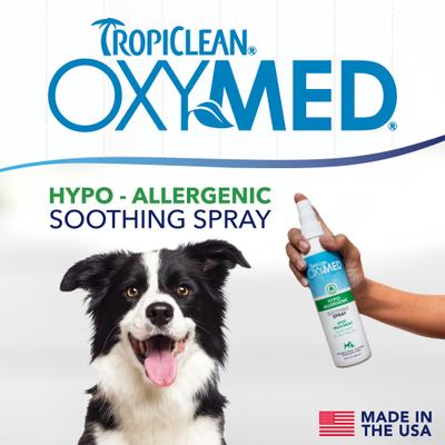 Show full view: TropiClean OxyMed Hypoallergenic Gentle Itchy Skin Relief Dog & Cat Spray, 8-fl oz bottle slide 4 of 11