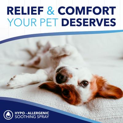 Show full view: TropiClean OxyMed Hypoallergenic Gentle Itchy Skin Relief Dog & Cat Spray, 8-fl oz bottle slide 8 of 11