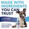 Show in main carousel: TropiClean OxyMed Medicated Anti-Itch Oatmeal Dog & Cat Shampoo, 20-fl oz bottle + Anti-Itch Spray, 8-fl oz bottle slide 8 of 9