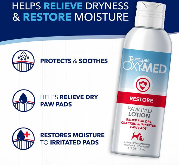 Martha Stewart Nose & Paw Dog Lotion