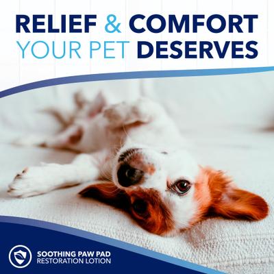 Show full view: TropiClean OxyMed Moisturizing Nose & Paw Lotion with Shea Butter Dog & Cat Cream, 4-fl oz bottle slide 8 of 11