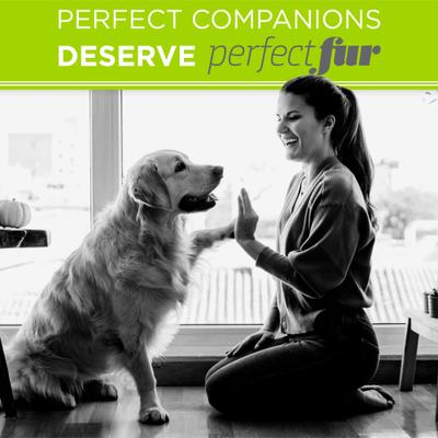 Show full view: TropiClean PerfectFur Combination Coat Reduces Shedding Dog Shampoo, 16-fl oz bottle slide 7 of 9