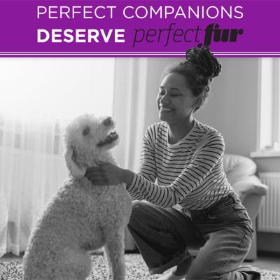 Show full view: TropiClean PerfectFur Detangling Curly & Wavy Coat Dog Shampoo, 16-fl oz bottle slide 7 of 10