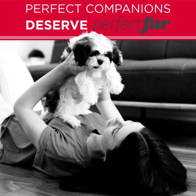 Show full view: TropiClean PerfectFur Long Haired Coat Conditioning & Detangling Dog Shampoo, 16-fl oz bottle slide 8 of 10