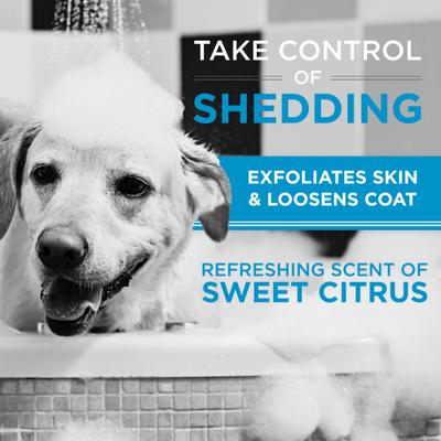 Show full view: TropiClean PerfectFur Short Double Coat Deodorizing & Shed Reducing Dog Shampoo, 16-fl oz bottle slide 7 of 9