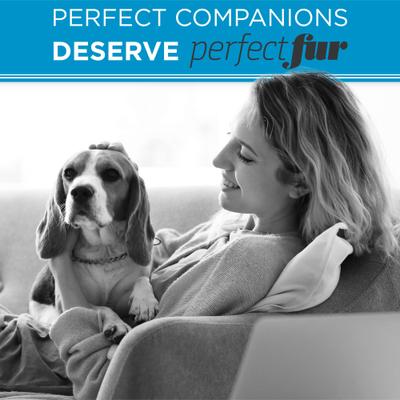 Show full view: TropiClean PerfectFur Short Double Coat Deodorizing & Shed Reducing Dog Shampoo, 16-fl oz bottle slide 8 of 9