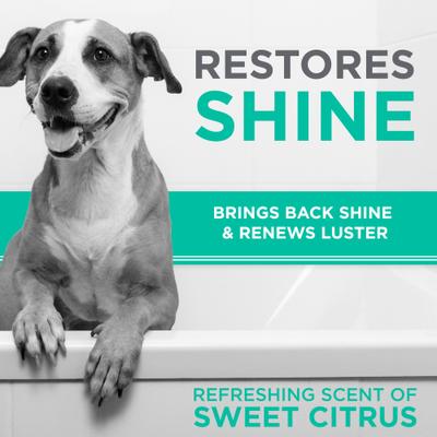 Show full view: TropiClean PerfectFur Smooth Coat Shed Reducing Dog Shampoo, 16-fl oz bottle slide 6 of 10