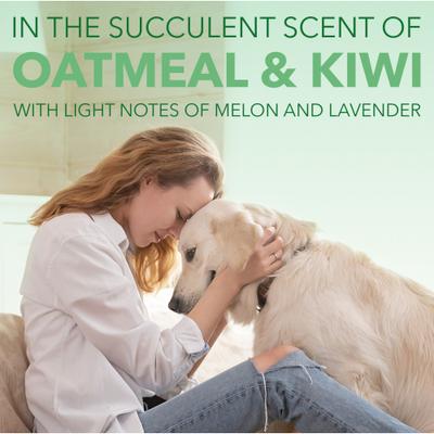 Show full view: TropiClean Spa Comfort Oatmeal Shampoo for Dogs & Cats, Succulent Kiwi Scent, 1-gal bottle slide 5 of 10