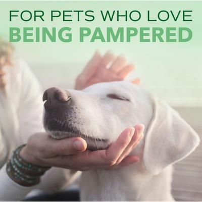 Show full view: TropiClean Spa Comfort Oatmeal Shampoo for Dogs & Cats, Succulent Kiwi Scent, 1-gal bottle slide 9 of 10