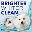 Show in main carousel: TropiClean Spa Dog Facial Cleanser & Tear Stain Remover, 8-fl oz bottle slide 4 of 10