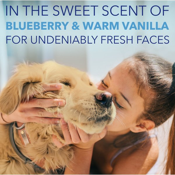 Show full view: TropiClean Spa Dog Facial Cleanser & Tear Stain Remover, 8-fl oz bottle slide 6 of 10
