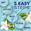 Show in main carousel: TropiClean Spa Dog Facial Cleanser & Tear Stain Remover, 8-fl oz bottle slide 7 of 10
