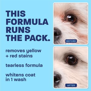 TropiClean Spa Dog Facial Cleanser & Tear Stain Remover, 8-fl oz bottle