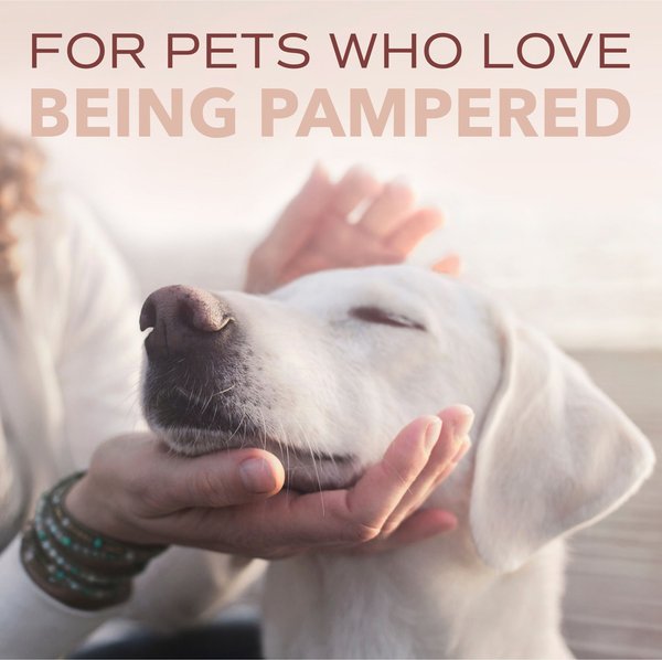 Show full view: TropiClean Spa for Him Oatmeal Dog Shampoo, Sporty Sandalwood Scent, 16-fl oz bottle slide 9 of 10