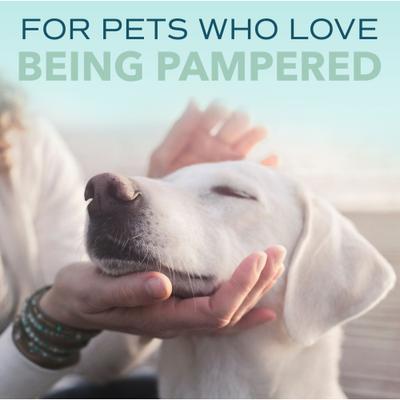 Show full view: TropiClean Spa Fresh Dog Cologne Spray, Luxurious Oatmeal & Cucumber Scent, 8-fl oz bottle slide 10 of 11