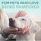 Show in main carousel: TropiClean Spa Lavish Fresh Oatmeal Dog & Cat Shampoo, Refreshing Cucumber Scent, 16-fl oz bottle slide 9 of 10