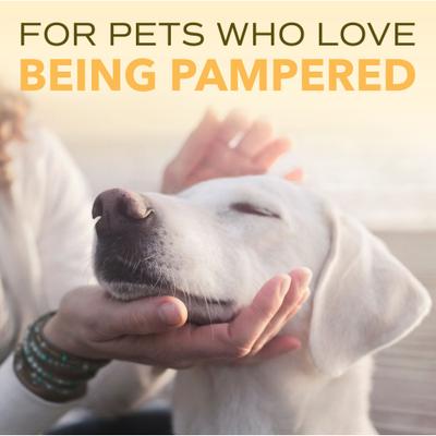 Show full view: TropiClean Spa Nourish Dog & Cat Conditioner, Fresh Plumeria Scent, 16-fl oz bottle slide 10 of 11