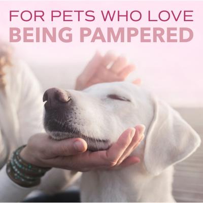 Show full view: TropiClean Spa Pure Hypoallergenic Sensitive Skin Dog & Cat Shampoo, 1-gal bottle slide 9 of 10