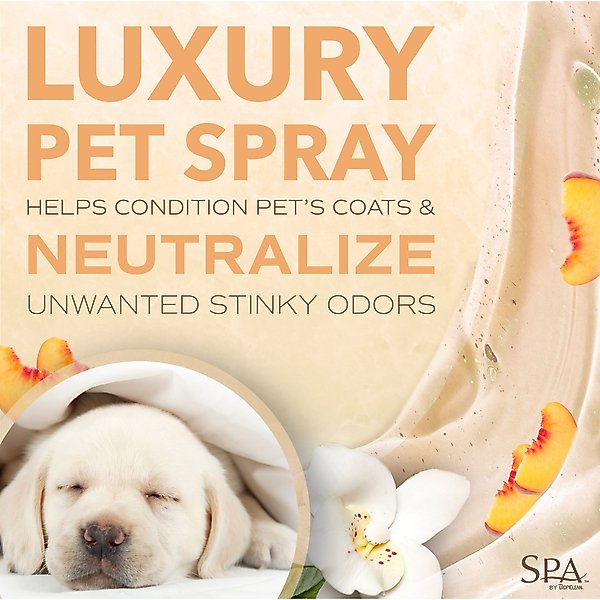 Show full view: TropiClean Spa Renew Dog Cologne Spray, Luscious Sweet Plum & Peaches Scent, 8-fl oz bottle slide 4 of 10