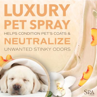 Show full view: TropiClean Spa Renew Dog Cologne Spray, Luscious Sweet Plum & Peaches Scent, 8-fl oz bottle slide 4 of 10