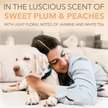 Show in main carousel: TropiClean Spa Renew Dog Cologne Spray, Luscious Sweet Plum & Peaches Scent, 8-fl oz bottle slide 5 of 10