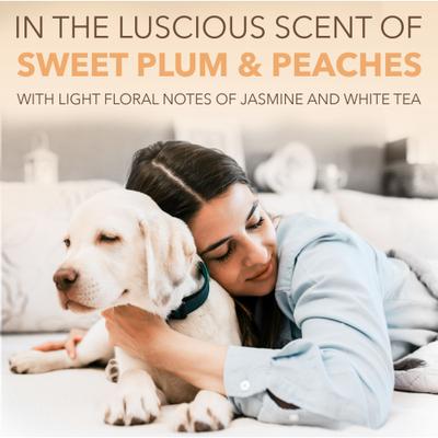 Show full view: TropiClean Spa Renew Oatmeal Dog & Cat Shampoo, Luscious Sweet Plum & Peaches Scent, 1-gal bottle slide 6 of 11