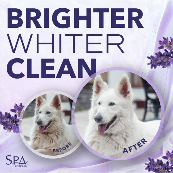 Show full view: TropiClean Spa White Coat Dog & Cat Shampoo, Luxurious Lavender Scent, 16-fl oz bottle slide 4 of 10