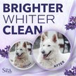 Show in main carousel: TropiClean Spa White Coat Dog & Cat Shampoo, Luxurious Lavender Scent, 16-fl oz bottle slide 4 of 10