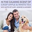 Show in main carousel: TropiClean Spa White Coat Dog & Cat Shampoo, Luxurious Lavender Scent, 16-fl oz bottle slide 5 of 10
