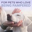 Show in main carousel: TropiClean Spa White Coat Dog & Cat Shampoo, Luxurious Lavender Scent, 16-fl oz bottle slide 9 of 10