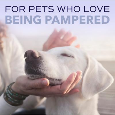 Show full view: TropiClean Spa White Coat Dog & Cat Shampoo, Luxurious Lavender Scent, 16-fl oz bottle slide 10 of 11