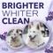 Show in main carousel: TropiClean Spa White Coat Dog & Cat Shampoo, Luxurious Lavender Scent, 1-gal bottle slide 5 of 11