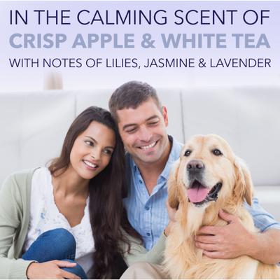 Show full view: TropiClean Spa White Coat Dog & Cat Shampoo, Luxurious Lavender Scent, 1-gal bottle slide 6 of 11