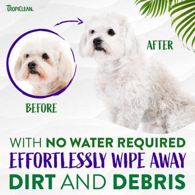Show full view: TropiClean Waterless Dog Facial Cleanser, 7.4-fl oz bottle slide 9 of 11