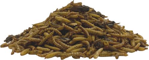 Show full view: TropicZone Insect Supplement &Treat Reptile Food, 16-oz bag slide 4 of 5