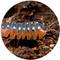 Show in main carousel: TropicZone Isopod Performance Daily Diet Insect Food, 8-oz bottle slide 7 of 7