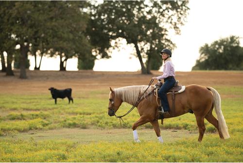Show full view: Troxel Spirit with Mips Technology Horse Riding Helmet, Desert, X-Small slide 4 of 9