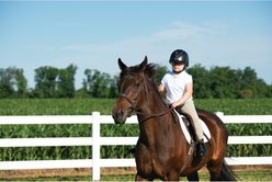 Troxel Sport 2.0 Horse Riding Helmet, Black, Medium slide 2 of 9