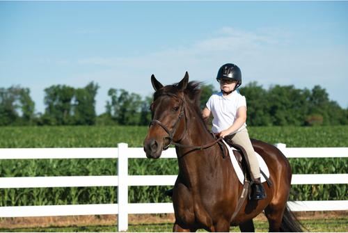 Show full view: Troxel Sport 2.0 Horse Riding Helmet, Black, Medium slide 9 of 9