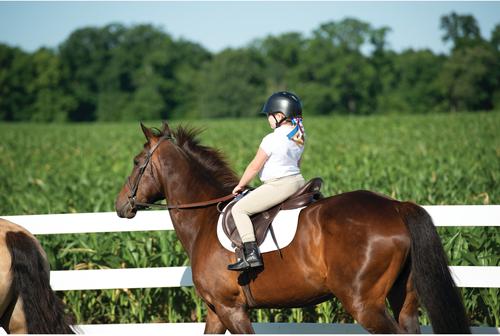 Show full view: Troxel Sport 2.0 Horse Riding Helmet, Black, Medium slide 5 of 9
