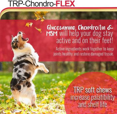 Show full view: TRP-Chondro-FLEX Liver Flavored Soft Chew Joint Supplement for Dogs, 120 count slide 5 of 10