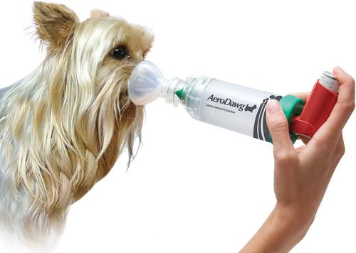 Show full view: Trudell Medical International AeroDawg Dog Asthma Aerosol Chamber, Small slide 3 of 10