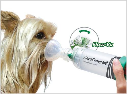 Show full view: Trudell Medical International AeroDawg Dog Asthma Aerosol Chamber, Small slide 4 of 10
