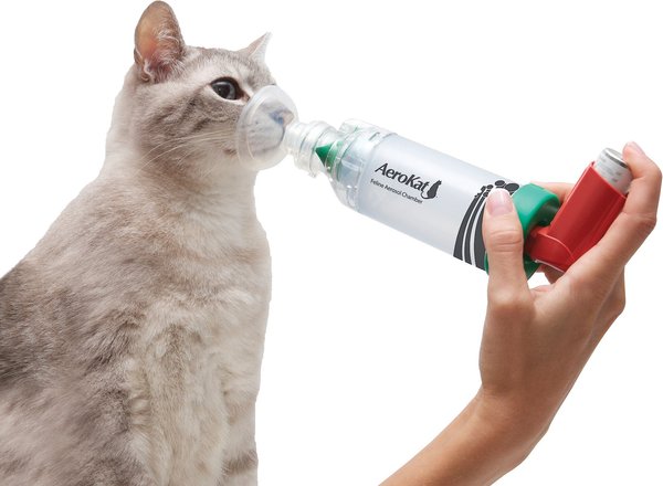 Show full view: Trudell Medical International AeroKat Cat Asthma Aerosol Chamber slide 3 of 10