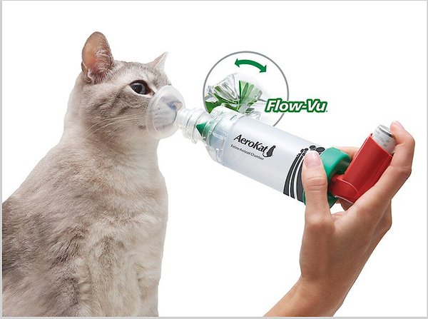 Show full view: Trudell Medical International AeroKat Cat Asthma Aerosol Chamber slide 4 of 10
