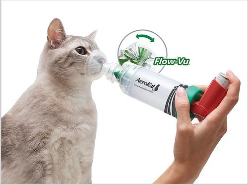 Show full view: Trudell Medical International AeroKat Cat Asthma Aerosol Chamber slide 5 of 11