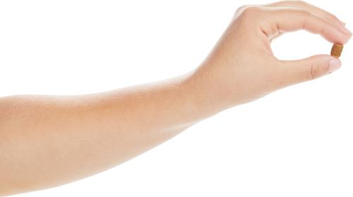 Show full view: True Acre Foods Chicken Recipe Mini-Training Rewards Grain-Free Soft & Chewy Dog Treats, 10-oz bag slide 6 of 10