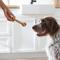 Show in main carousel: True Acre Foods, Rawhide-Free, Knotted Bones, with Natural Chicken Flavor Dog Treats, Large, 3 count slide 8 of 11